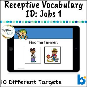 Community Helpers Receptive Vocabulary Id Boom Cards