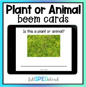 deck thumbnail