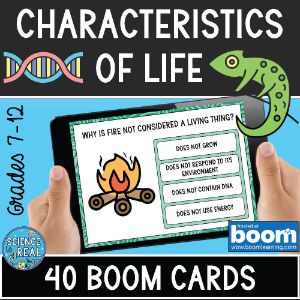 deck thumbnail