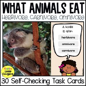 deck thumbnail