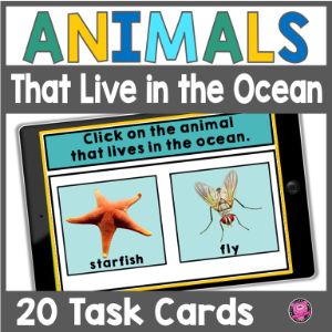 deck thumbnail