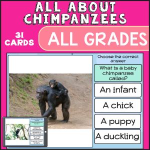 deck thumbnail