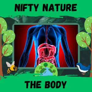 deck thumbnail