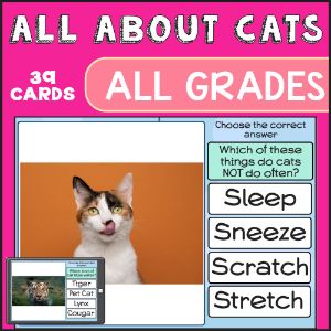deck thumbnail