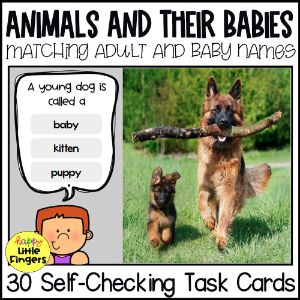 deck thumbnail