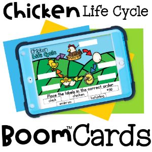 deck thumbnail