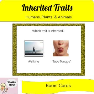 deck thumbnail